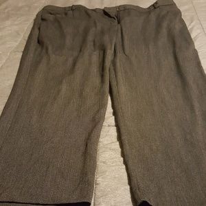 Avenue size 26 petite pants